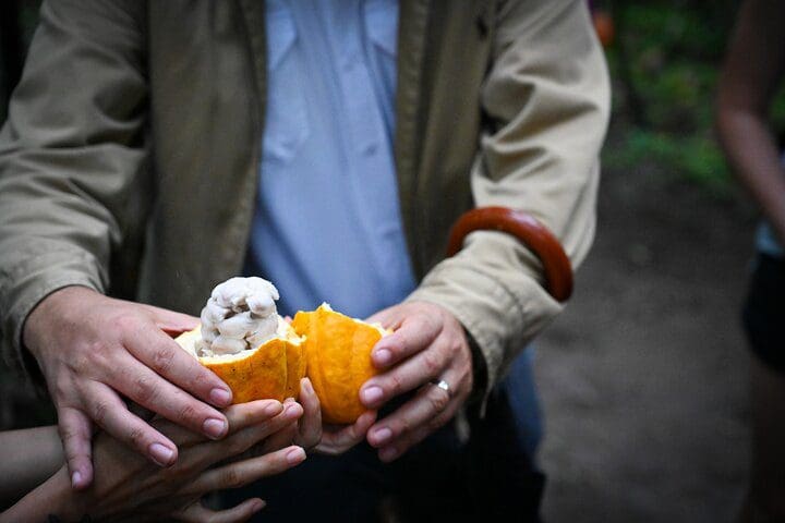 A man holds a cocoa pod on the Eden Chocolate Tour - The Best Chocolate Tour in La Fortuna.