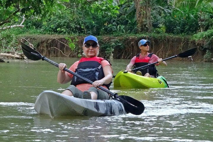 Two kayakers move down a river on the Mangrove Kayak Tour.