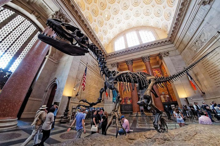 Inside the dinosaur hall, as seen on the NYC Kid & Families American Museum of Natural History Private Tour.