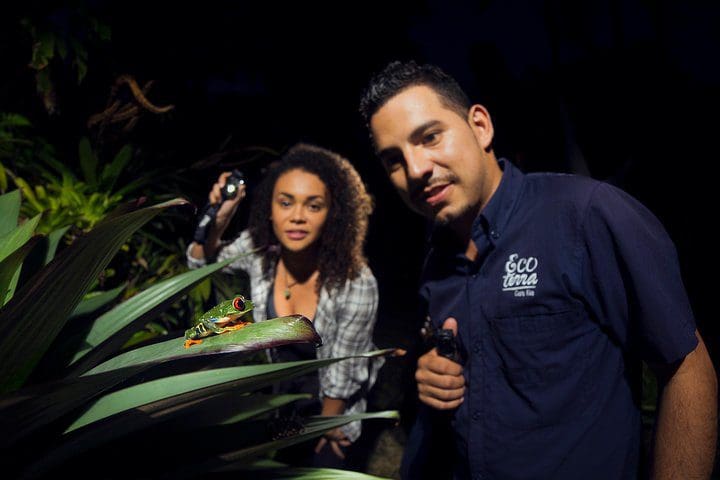 A tour guide and guest look at a frog on a leaf during a Rainforest Night Walk and Authentic Costa Rican Dinner from La Fortuna.