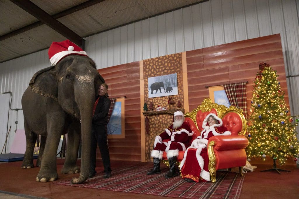An elephant stands near Mr. and Mrs. Clause at the Endangered Ark Christmas near Broken Bow, one of the best budget-friendly Christmas destinations in the US for families.