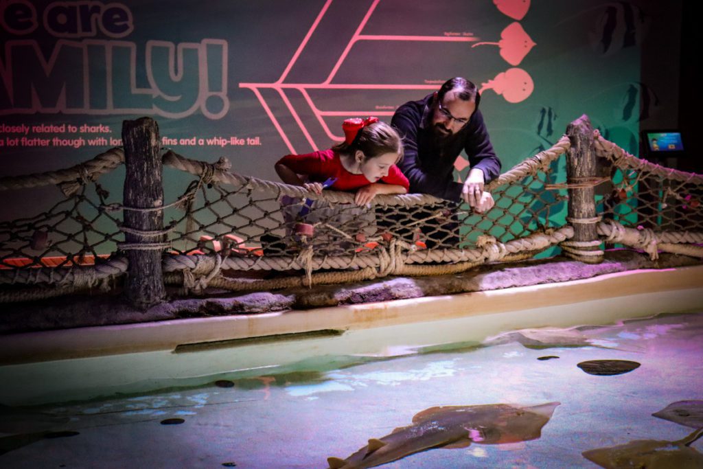 A man and his young daughter look at sting rays in a tank at SEA LIFE.