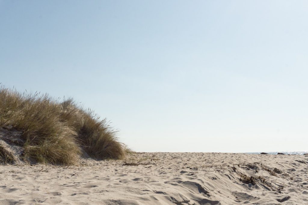 Sea dunes and grasses on Rügen Island in Germany.