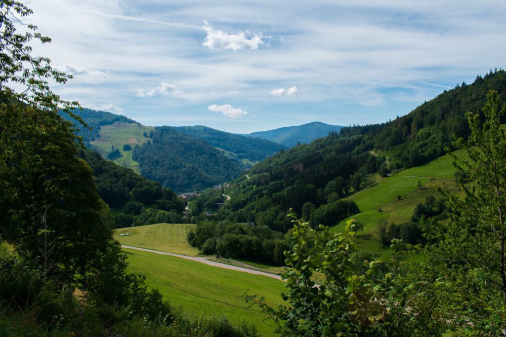 A sweeping view of mountains, a valley, and forest lands in the Black Forest in Germany.