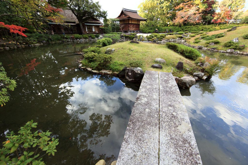 A flower river pond stream in Nara, one of the best places in Japan to visit with kids. 