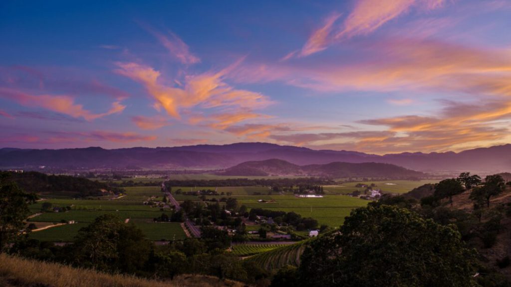 A landscape at sunset in Napa Valley.