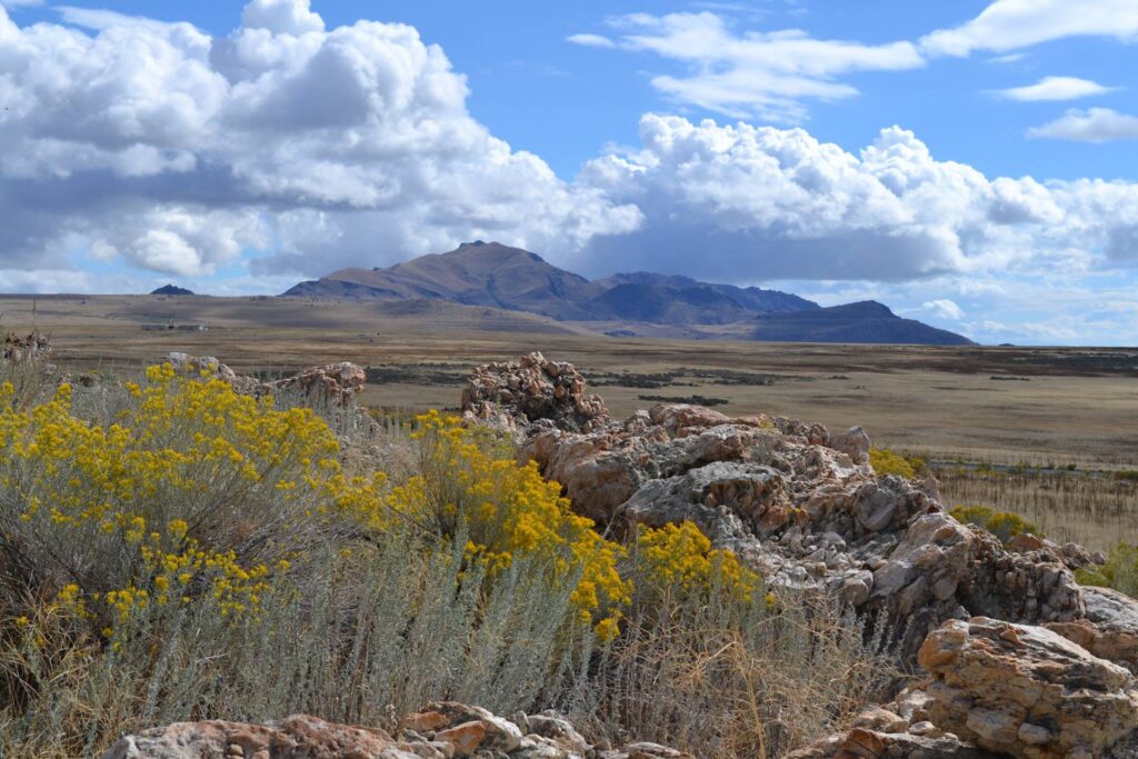 A view of Antelope Island State Park in Utah, one of the best weekend getaways from Salt Lake City for families. 