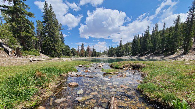 A view of the greenery and trees in Great Basin National Park, one of the best weekend getaways from Salt Lake City for families. 